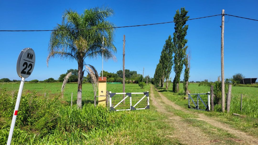 VENTA DE CAMPO RUTA 2, KM 22, 5,6 HECTAREAS