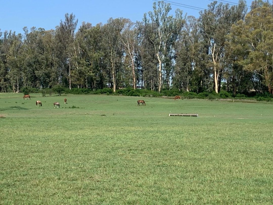 Venta Lote, Chacras de Cruz , Exaltación
