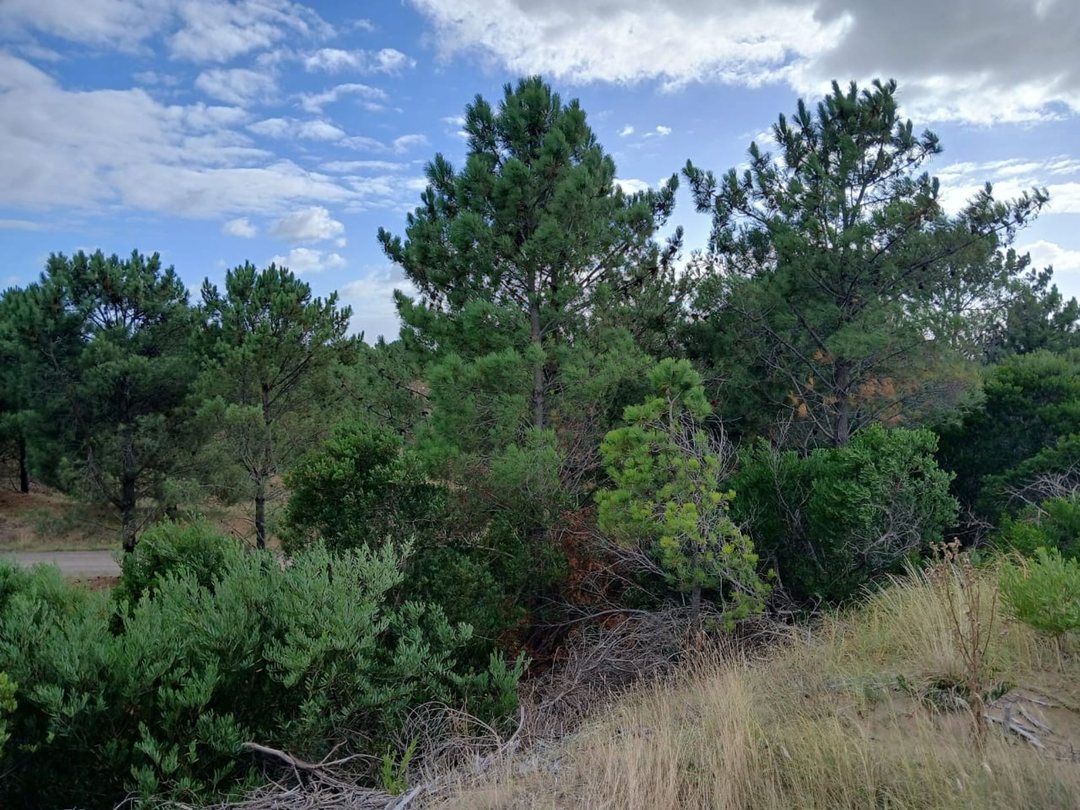 Lote en Venta 8076mts2 Bahia de los Moros Loberia