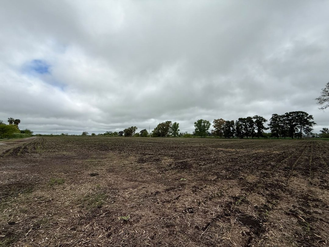 VENTA CAMPO 77 HECTAREAS GRAL. RODRIGUEZ