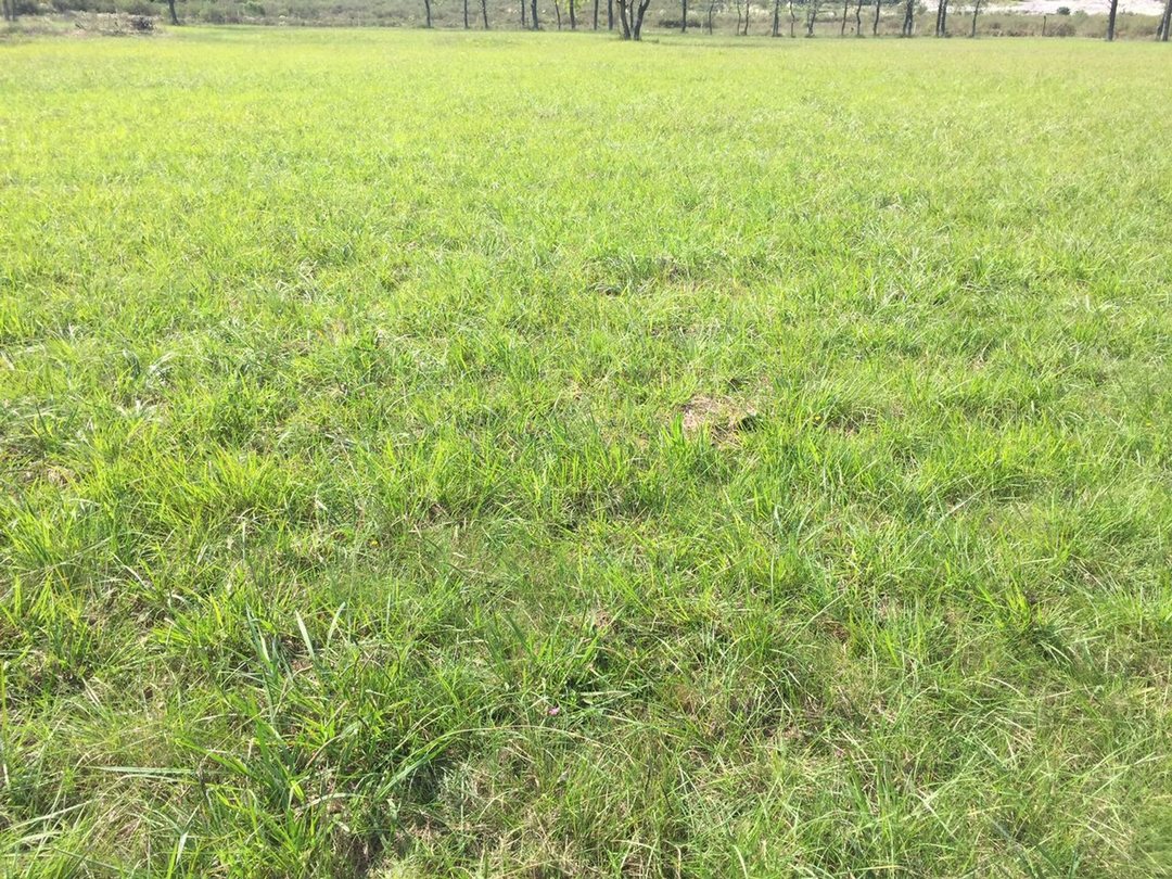 Venta de Lote en Fátima, Pilar 5.000 m2