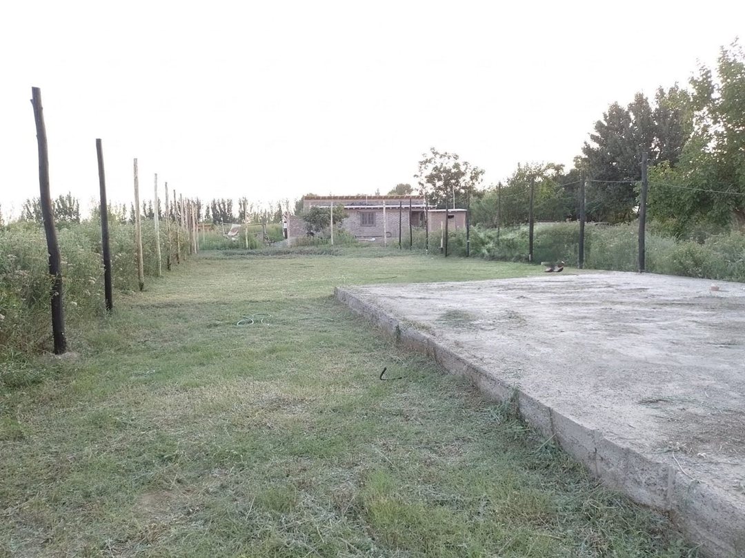 VENTA LOTE RUTA 40 – JOCOLÍ- LAVALLE- MENDOZA