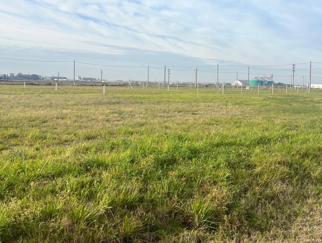 LOTE EN VENTA EN ROJAS