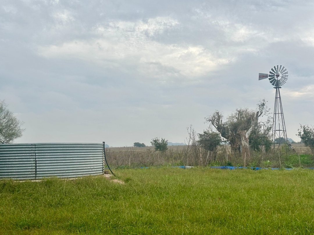 35 Has Agrícolas – Ganaderas en Magdalena BS AS
