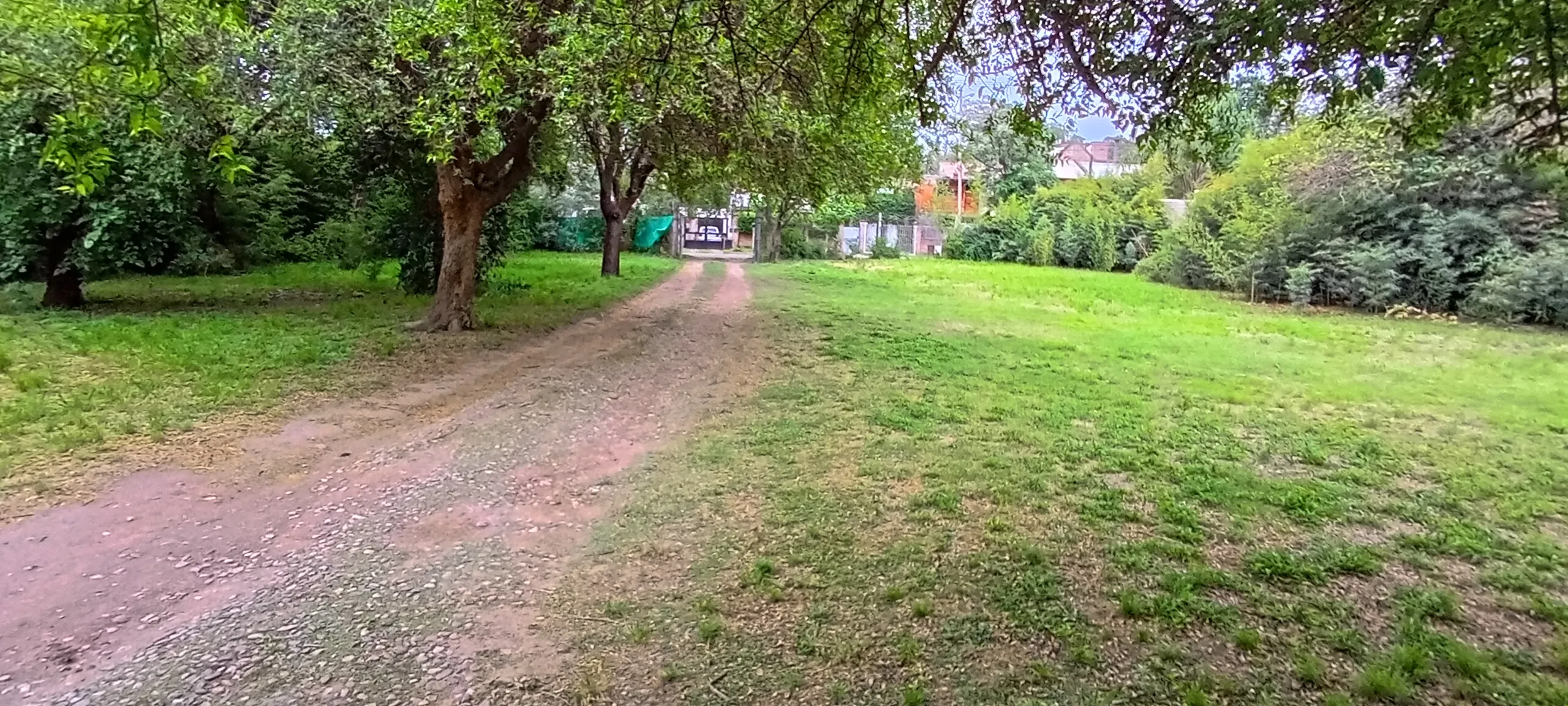 Se alquila casa en Quintas de Arguello