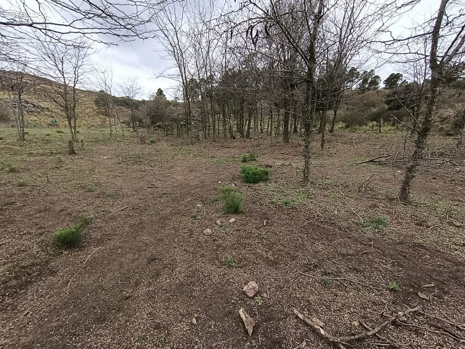 ¡Oportunidad Lote De 2500 M² En Villa Ciudad De América! A Metros De Ruta 5