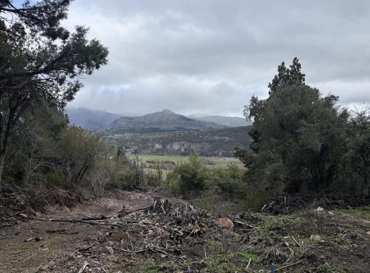 Terreno · 1830m²