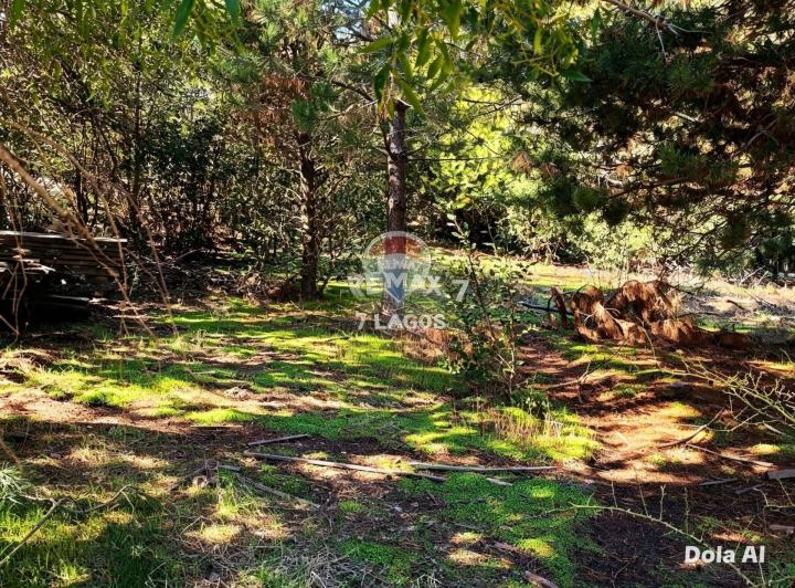 Terreno · 2535m²