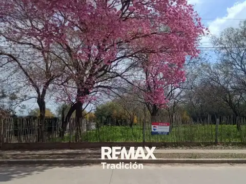 Terreno de 2,6 ha. en venta ubicado en sáenz peña