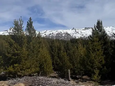 Lotes arroyo del medio