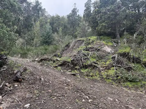 Venta terreno san martin de los andes. alihuen alto nueva etapa