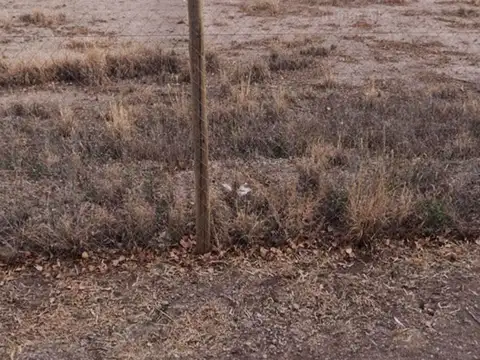 Lote en luján de cuyo