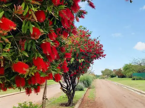 Espectacular lote en bela vista residencial. río ceballos
