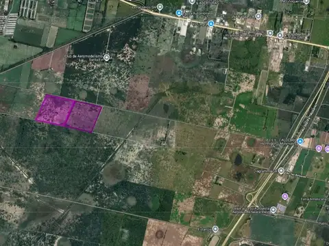 Venta de 40 hectareas agricolas en santo tome