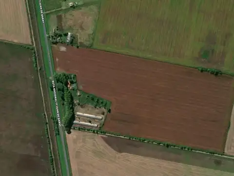 Campo en oliveros