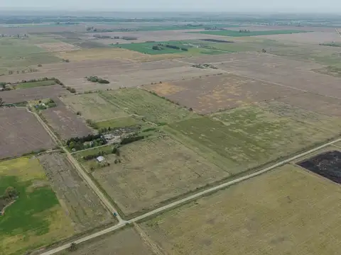 Venta de terreno de 15 has en ibarlucea