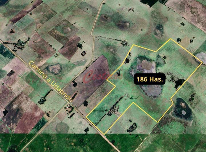 Terreno · 186ha