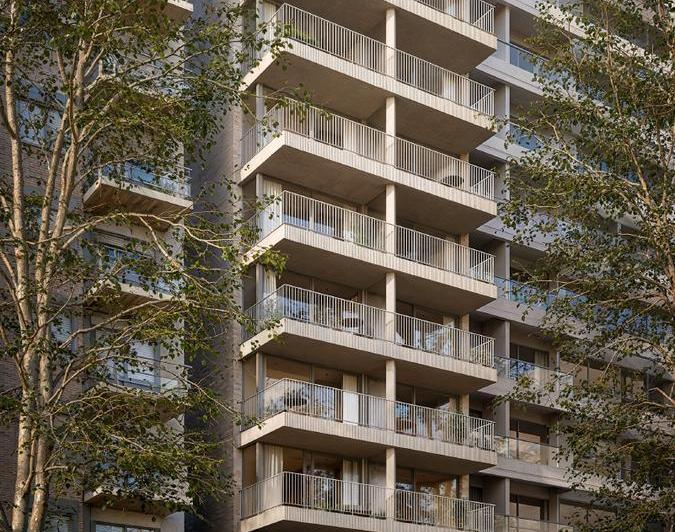 Desarrollo vertical