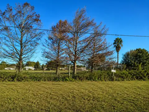 Terreno en Venta en Nuevo Torino, Las Colonias