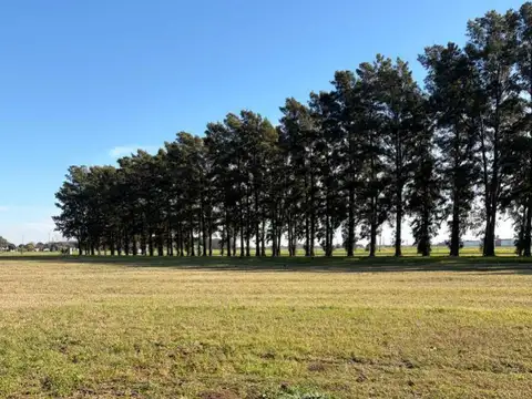 Terreno en Venta en General Lagos, Rosario