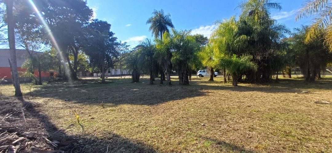 LOTES EN VENTA 9 DE JULIO, CORRIENTES
