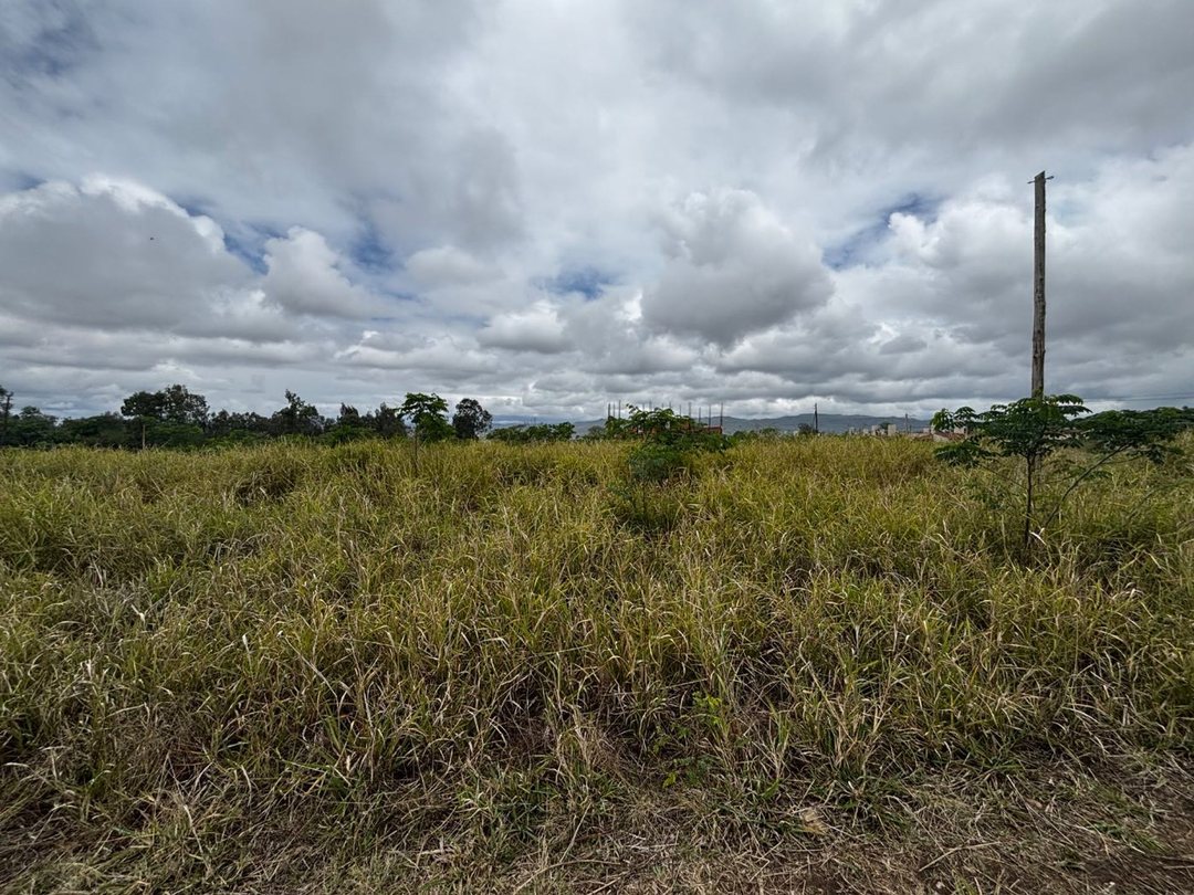 VENTA TERRENOS ALTOS DEL ZAPLA 50 METROS FRENTE
