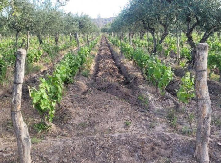 Terreno · 2m²