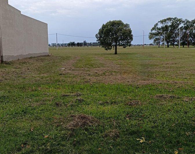 Terreno · 262m²