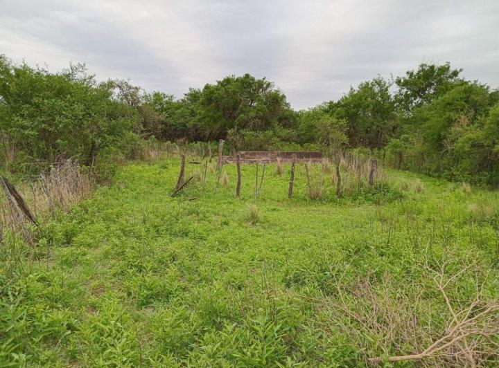 Terreno · 10000m²