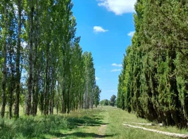 Terreno · 2000m²