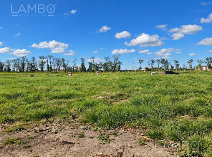 Terreno · 823m²