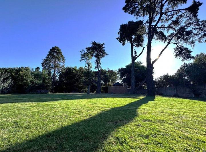Terreno · 1146m²