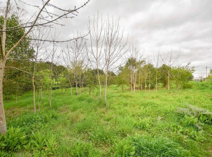 Terreno · 513m²