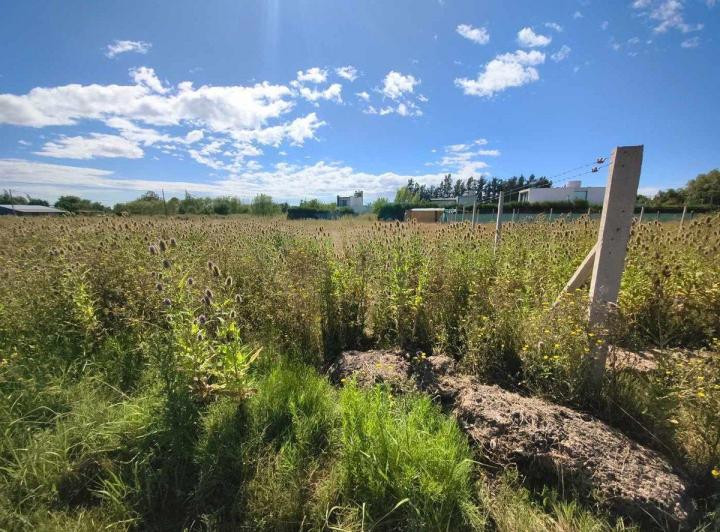 Terreno · 428m²