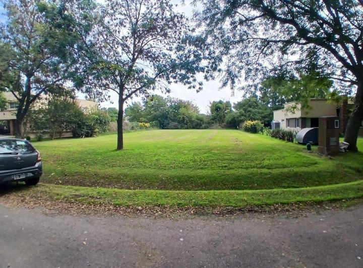 Terreno · 1230m²