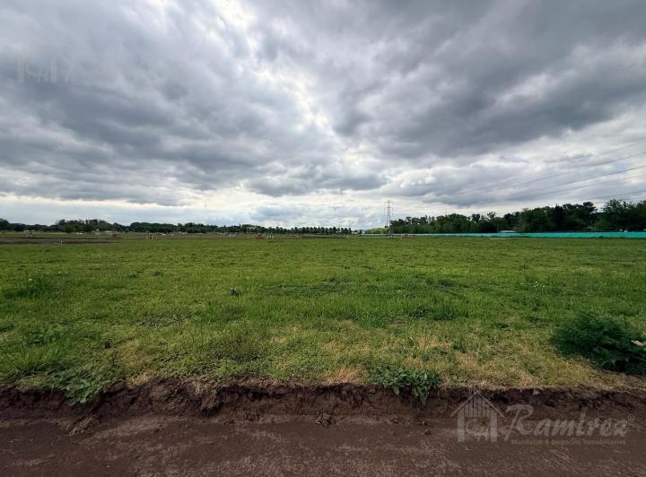 Terreno · 800m²