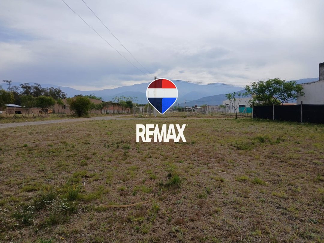 VENTA TERRENO 790 m2-RETOÑOS DE COLÓN-Cpo Quijano