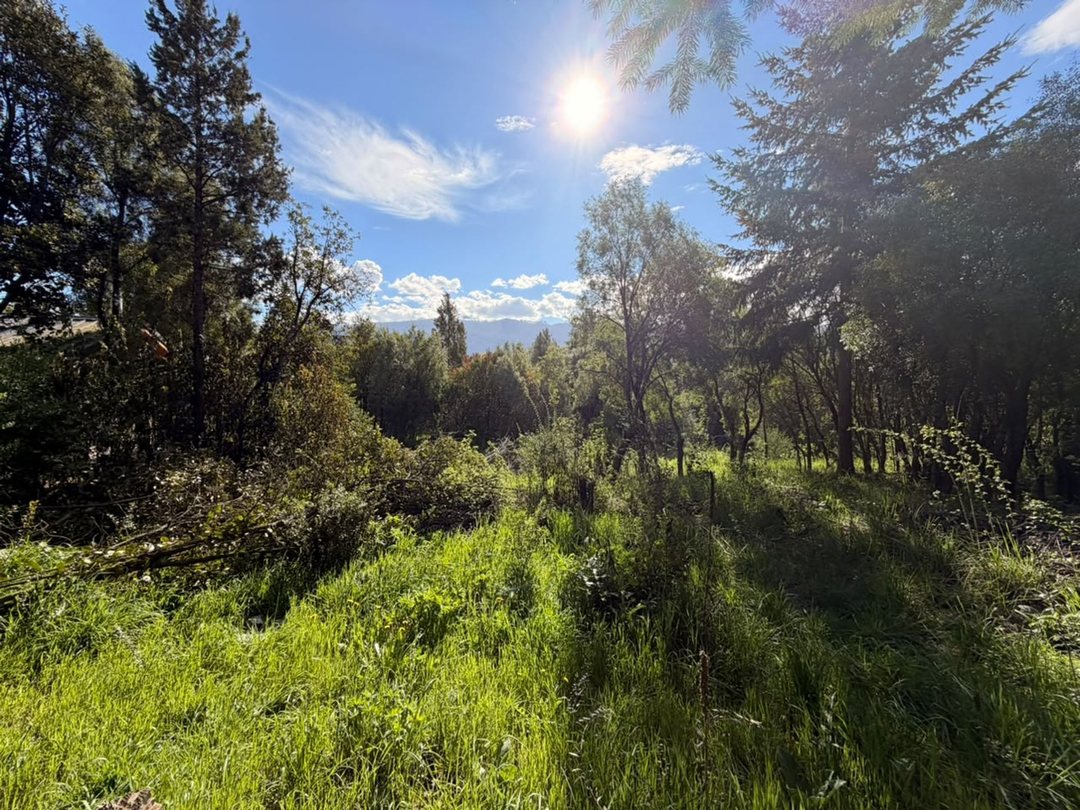 Lote Arbolado en Buena Vista