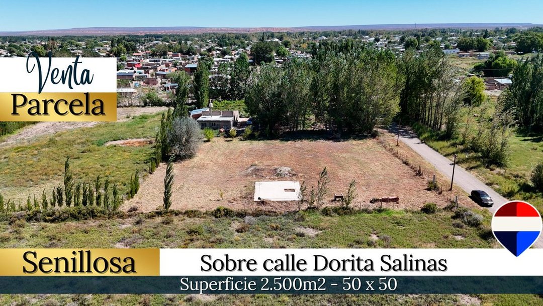 VENTA PARCELA EN SENILLOSA DE 2500 M2 NEUQUEN