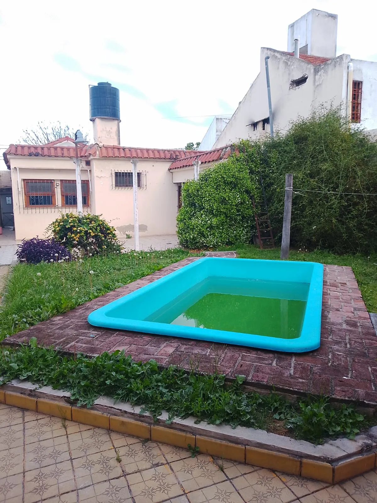 Alquilo Casa Alto Alberdi + de 3 Dorm- Pileta- Cochera- Hermosa!