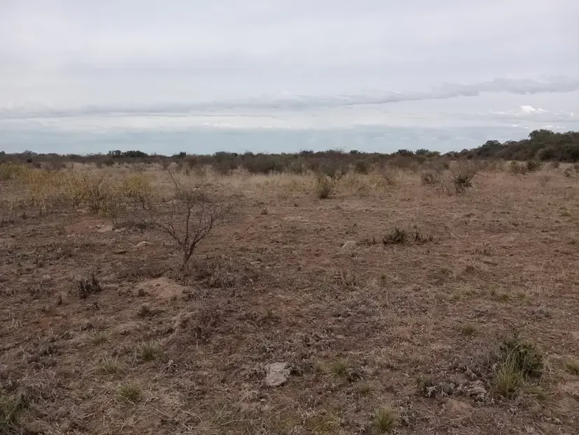 CAMPO GANADERO 29HAS. LOS ÁLAMOS