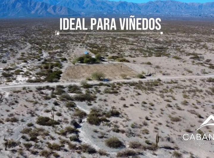 Terreno · 20ha