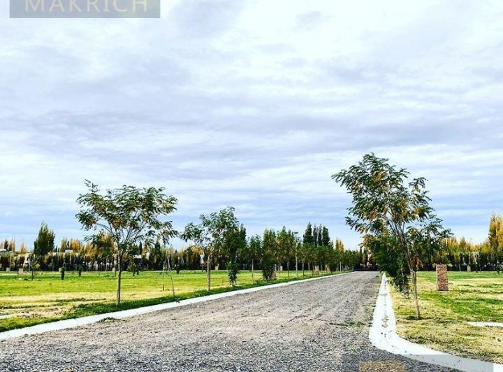 Terreno · 768m²
