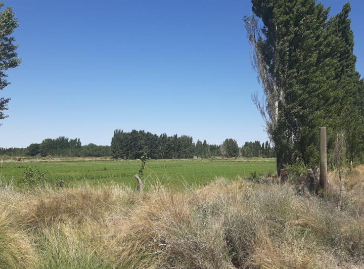 Terreno · 65000m²
