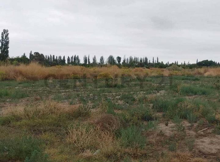 Terreno · 7142m²