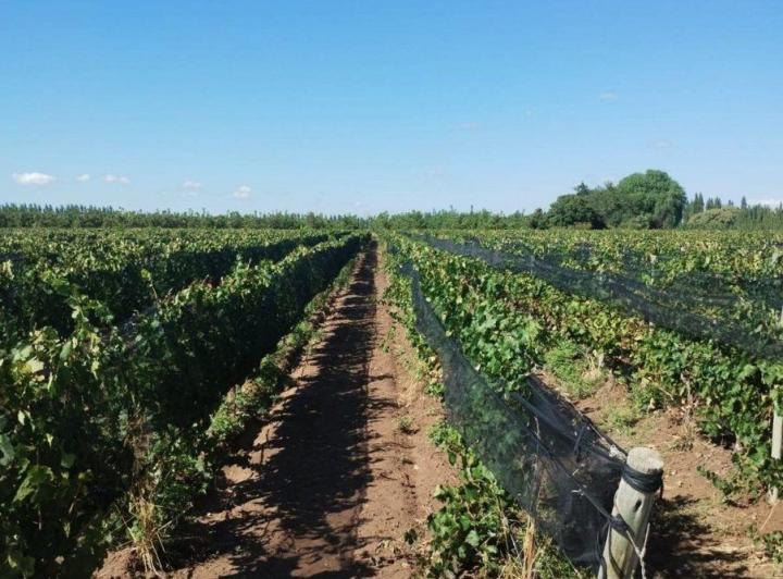 Campo · 27m²
