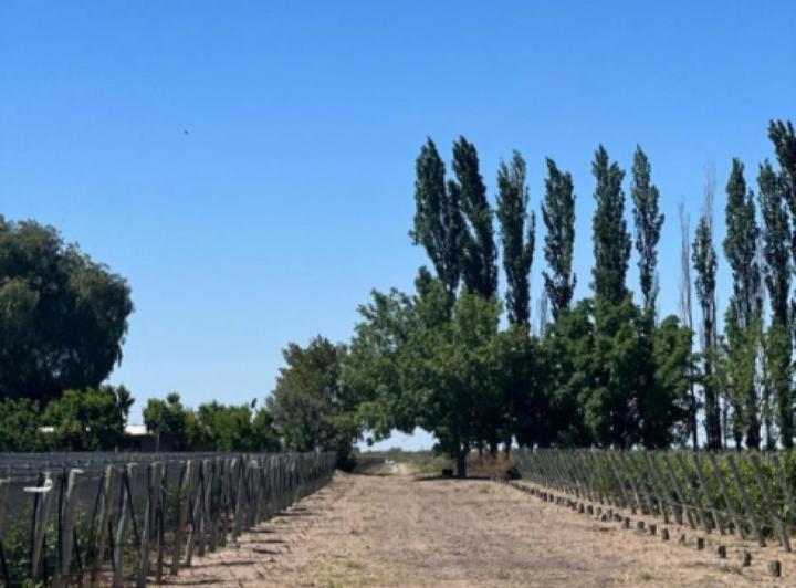 Campo · 250000m²