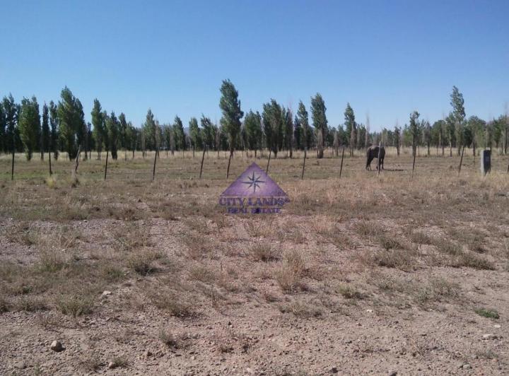Terreno · 4000m²