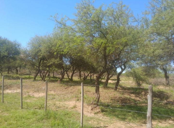 Terreno · 5240m²
