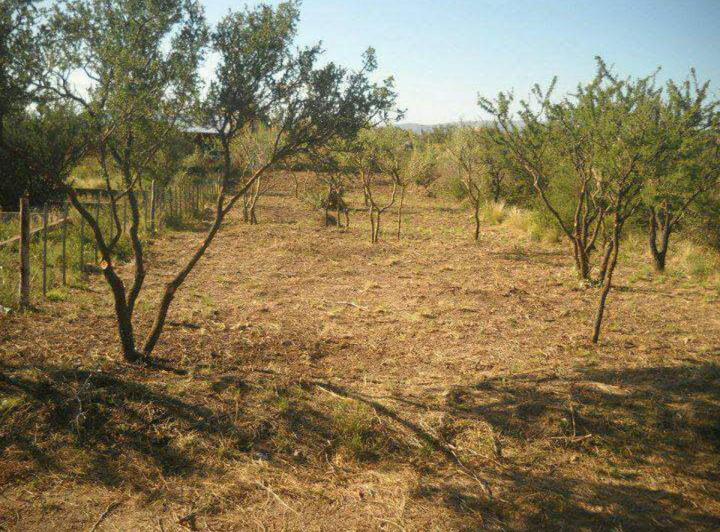 Terreno · 400m²